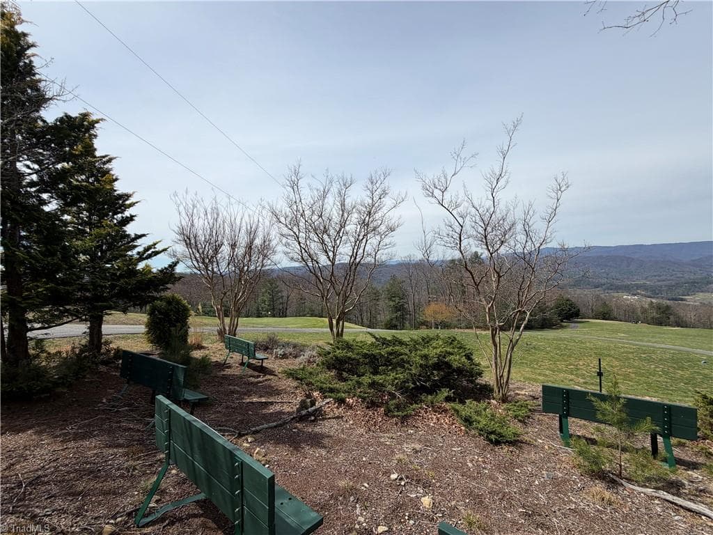 Resort at Lot 105 Greenstreet Drive, Traphill NC 28685, Traphill, photo 19 of 23