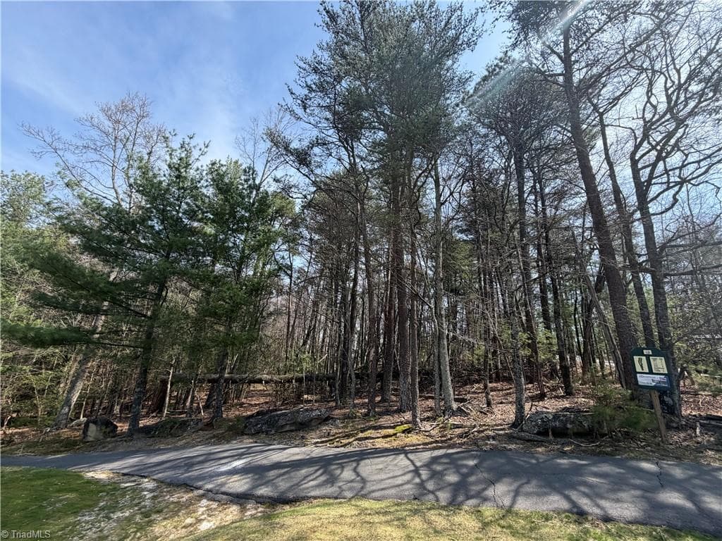 Resort at Lot 33 Greenstreet Drive, Traphill NC 28685, Traphill, photo 17 of 21