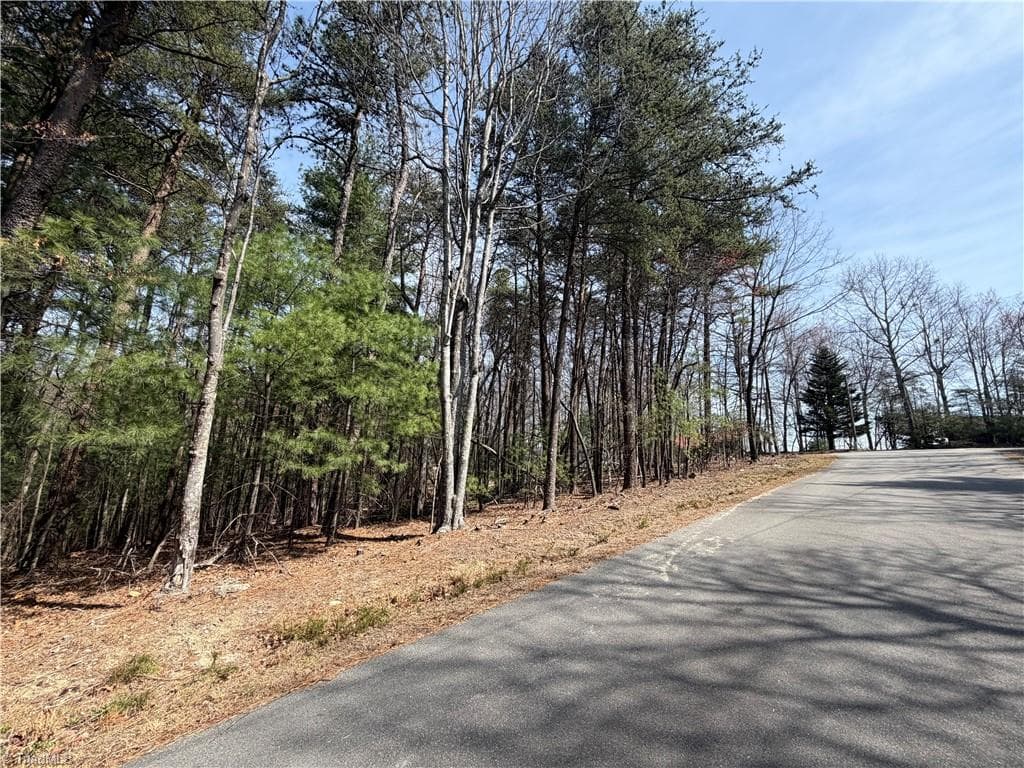 Resort at Lot 33 Greenstreet Drive, Traphill NC 28685, Traphill, photo 16 of 21