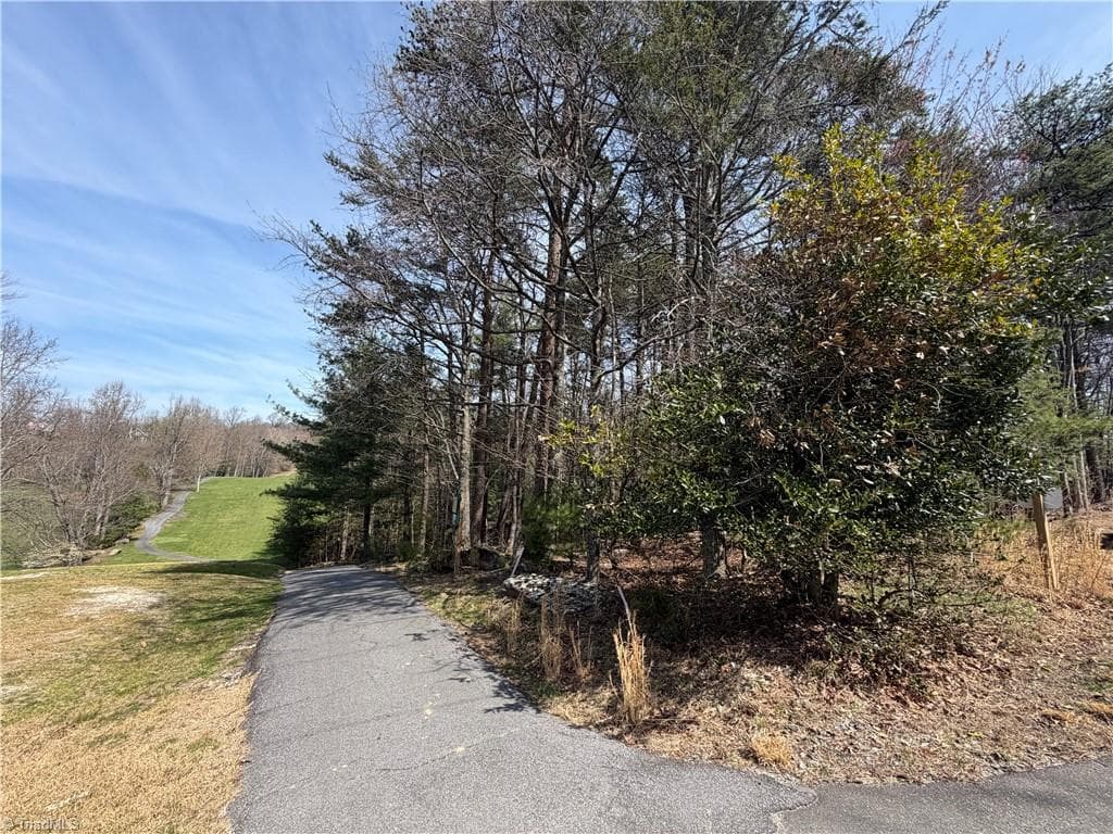Resort at Lot 33 Greenstreet Drive, Traphill NC 28685, Traphill, photo 7 of 21