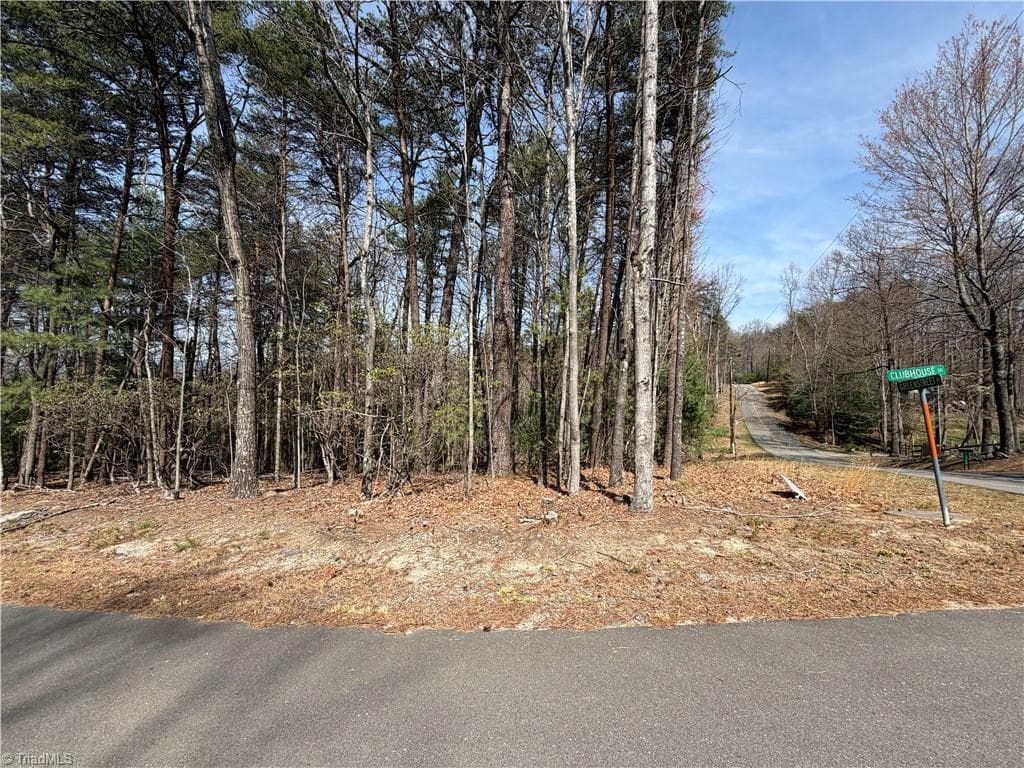 Resort at Lot 33 Greenstreet Drive, Traphill NC 28685, Traphill, photo 5 of 21