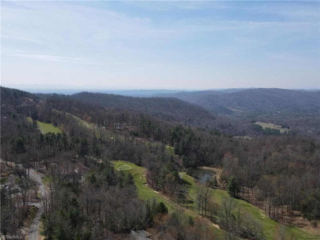 Resort at Lot 33 Greenstreet Drive, Traphill NC 28685, Traphill, photo 9 of 21