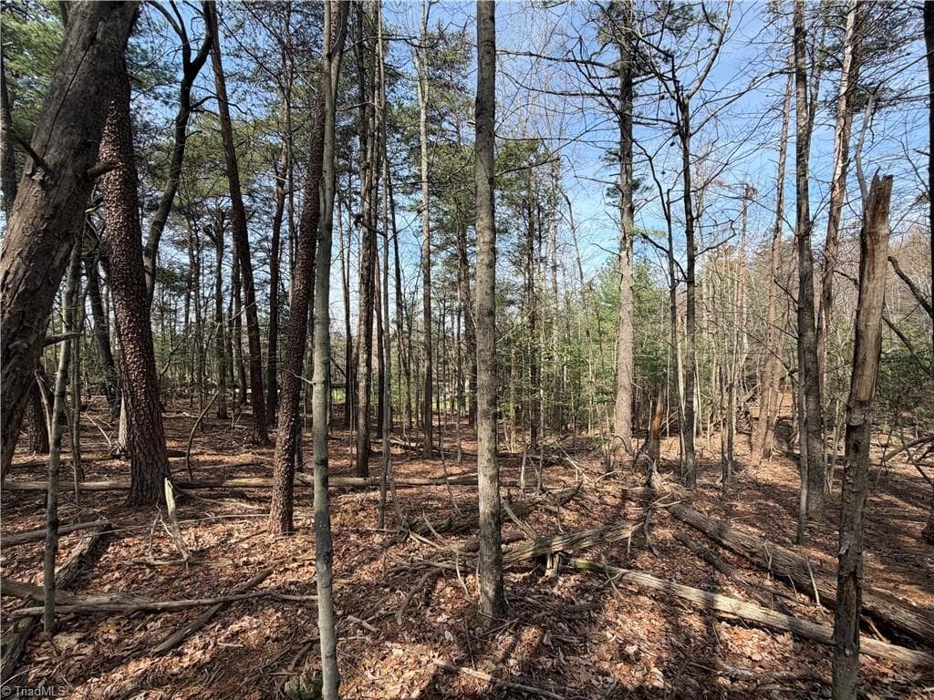 Resort at Lot 33 Greenstreet Drive, Traphill NC 28685, Traphill, photo 10 of 21