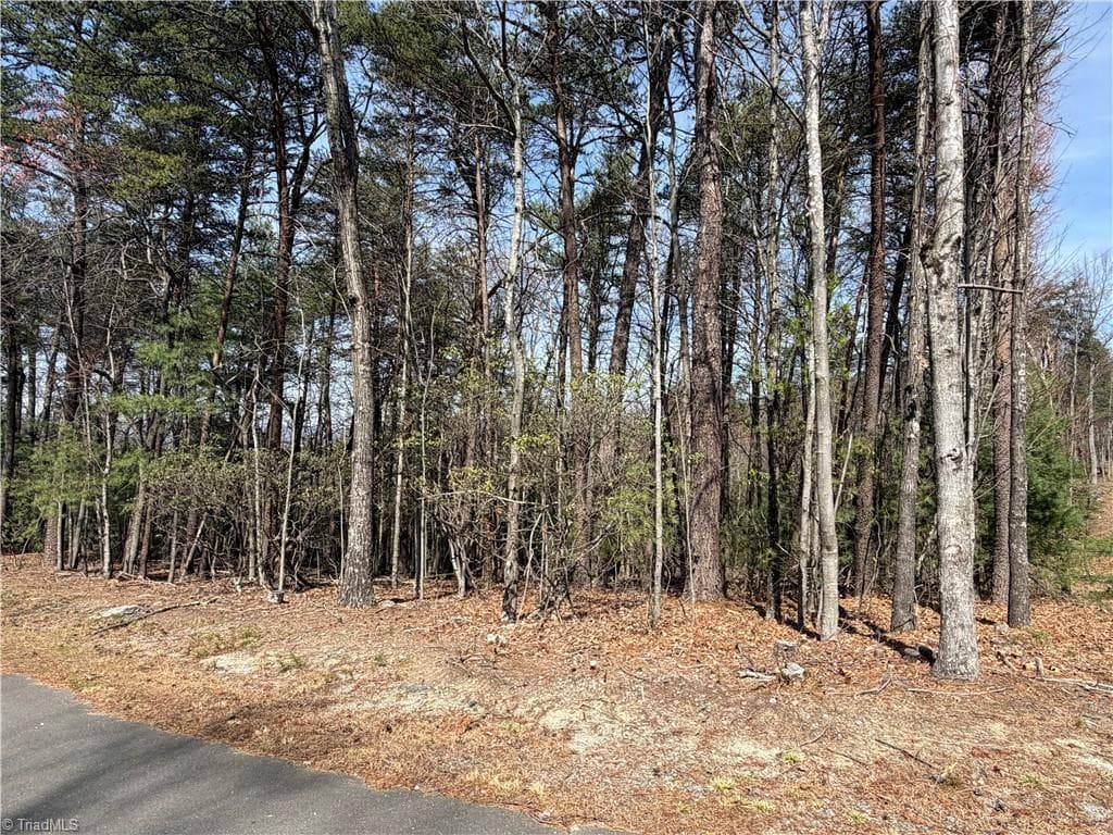Resort at Lot 33 Greenstreet Drive, Traphill NC 28685, Traphill, photo 8 of 21