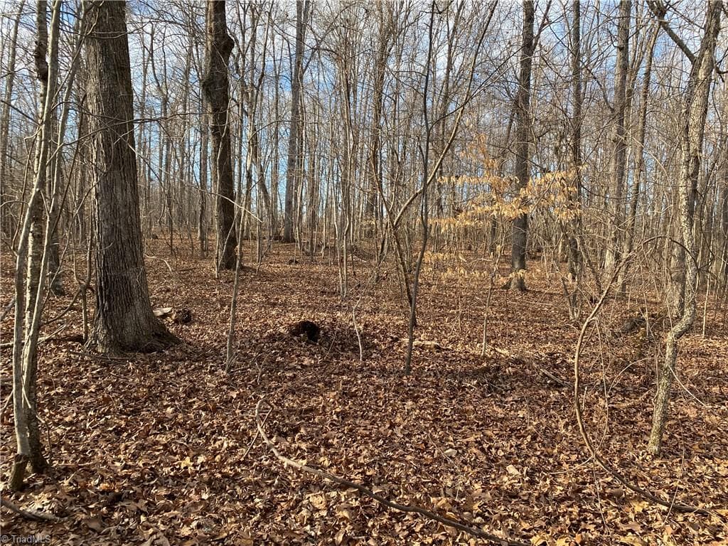 Agriculture at 5724 Frieden Church Road, McLeansville NC 27301, photo 10 of 10