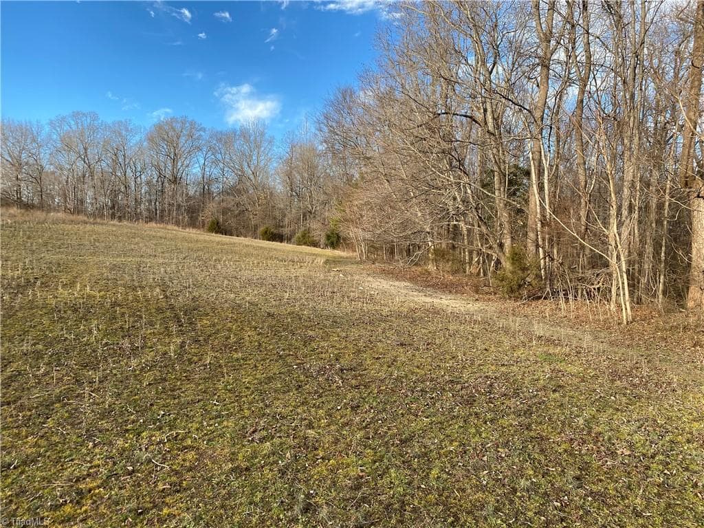Agriculture at 5724 Frieden Church Road, McLeansville NC 27301, photo 4 of 10