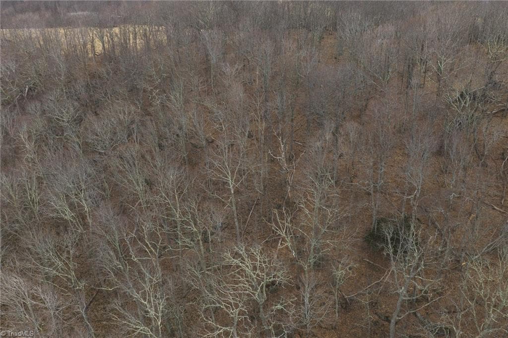 Single Family Residence at TBD Tater Hill Road, Boone NC 28698, photo 6 of 27