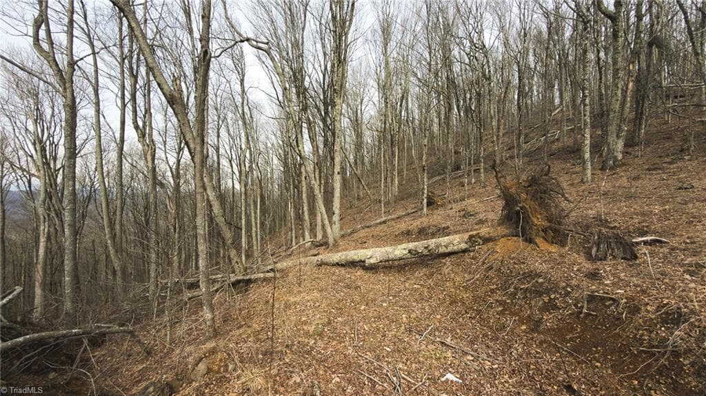 Single Family Residence at TBD Tater Hill Road, Boone NC 28698, photo 26 of 27
