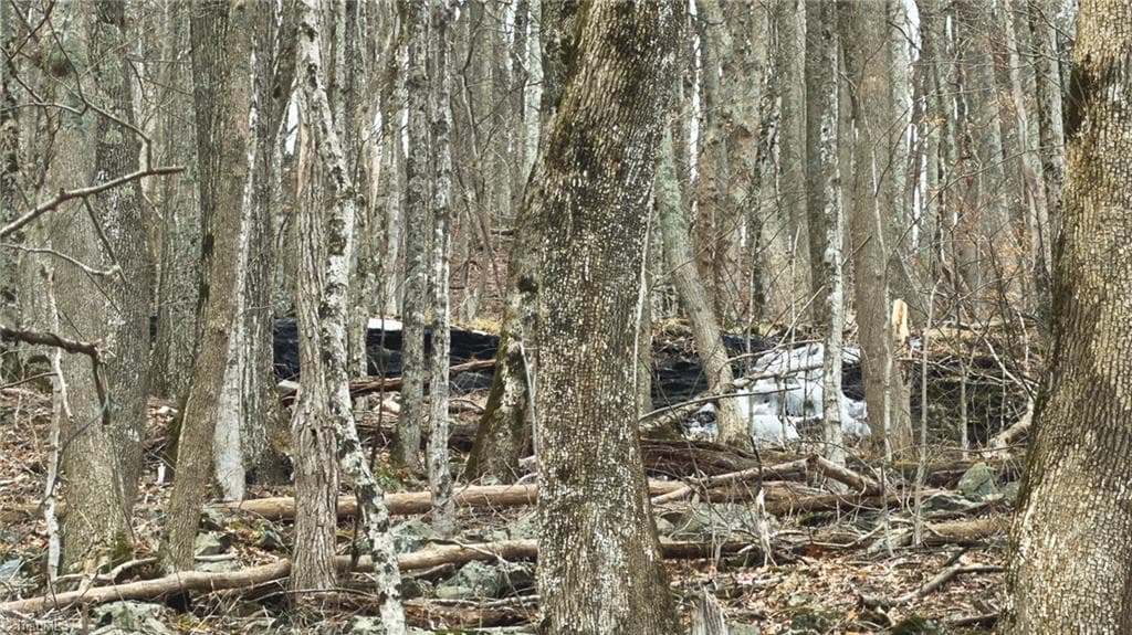 Single Family Residence at TBD Tater Hill Road, Boone NC 28698, photo 22 of 27