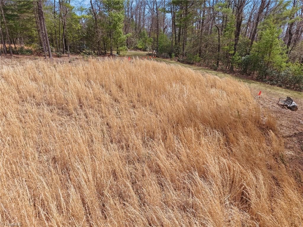 Single Family Residence at Lot 109 & 110 Pepper Bush Road, Purlear NC 28665, Purlear, photo 2 of 29