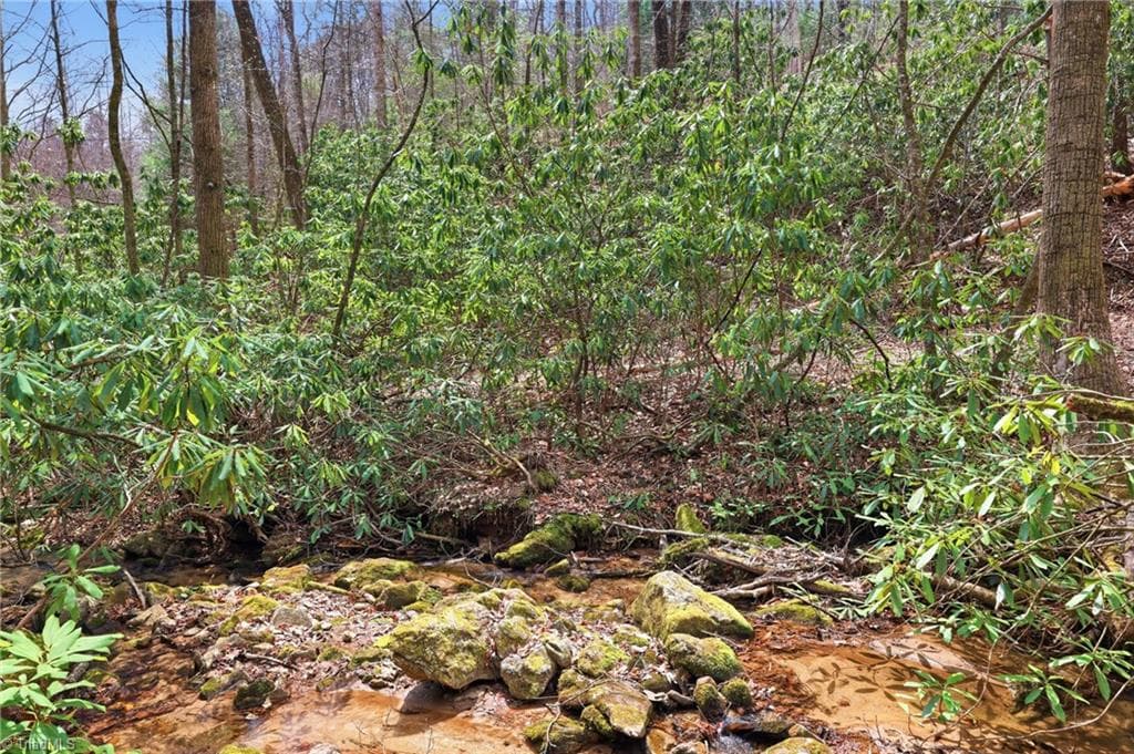 Single Family Residence at Lot 109 & 110 Pepper Bush Road, Purlear NC 28665, Purlear, photo 17 of 29