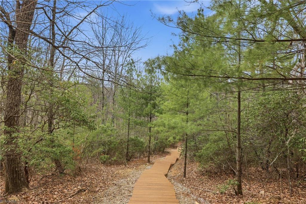 Single Family Residence at Lot 109 & 110 Pepper Bush Road, Purlear NC 28665, Purlear, photo 12 of 29