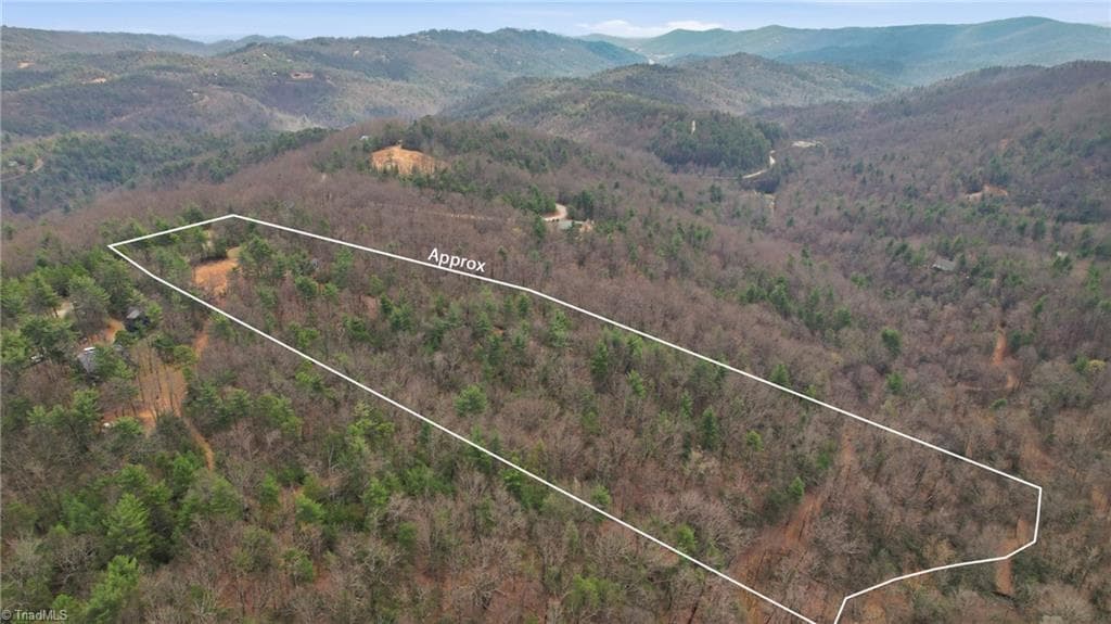 Single Family Residence at Lot 109 & 110 Pepper Bush Road, Purlear NC 28665, Purlear, photo 22 of 29