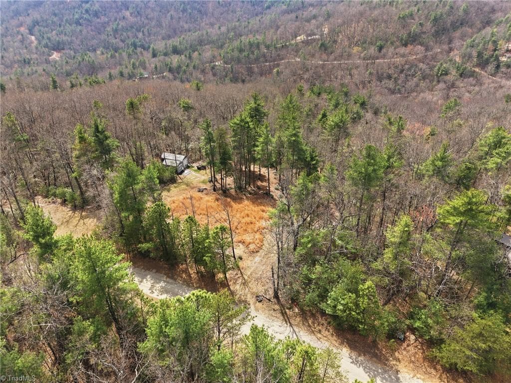Single Family Residence at Lot 109 & 110 Pepper Bush Road, Purlear NC 28665, Purlear, photo 7 of 29