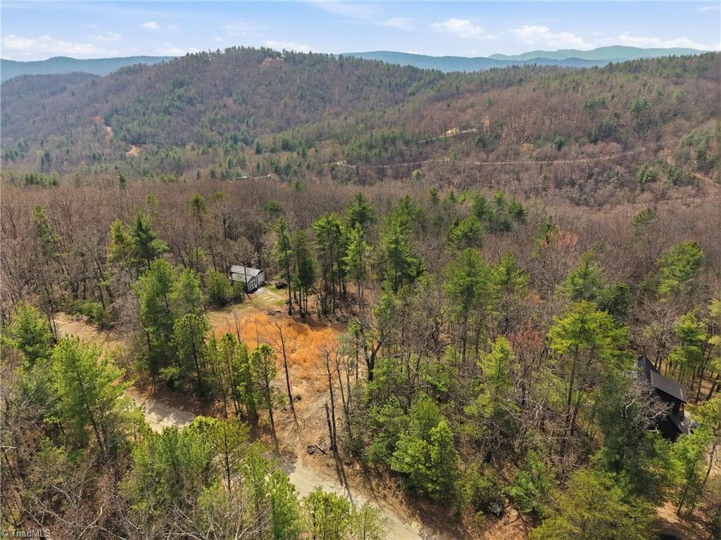 Lot 109 & 110 Pepper Bush Road, Purlear NC 28665