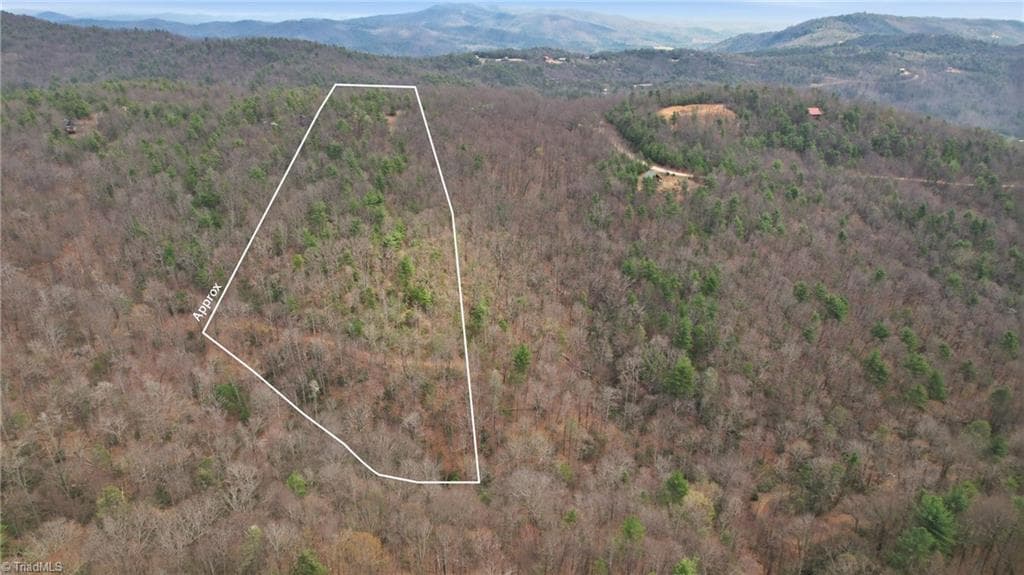 Single Family Residence at Lot 109 & 110 Pepper Bush Road, Purlear NC 28665, Purlear, photo 20 of 29