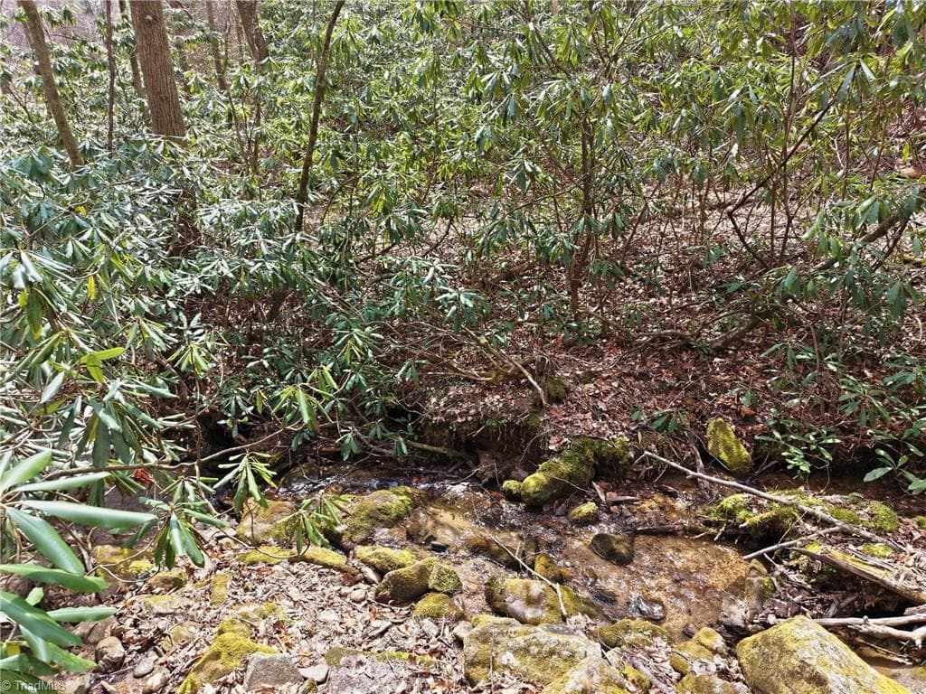 Single Family Residence at Lot 109 & 110 Pepper Bush Road, Purlear NC 28665, Purlear, photo 18 of 29