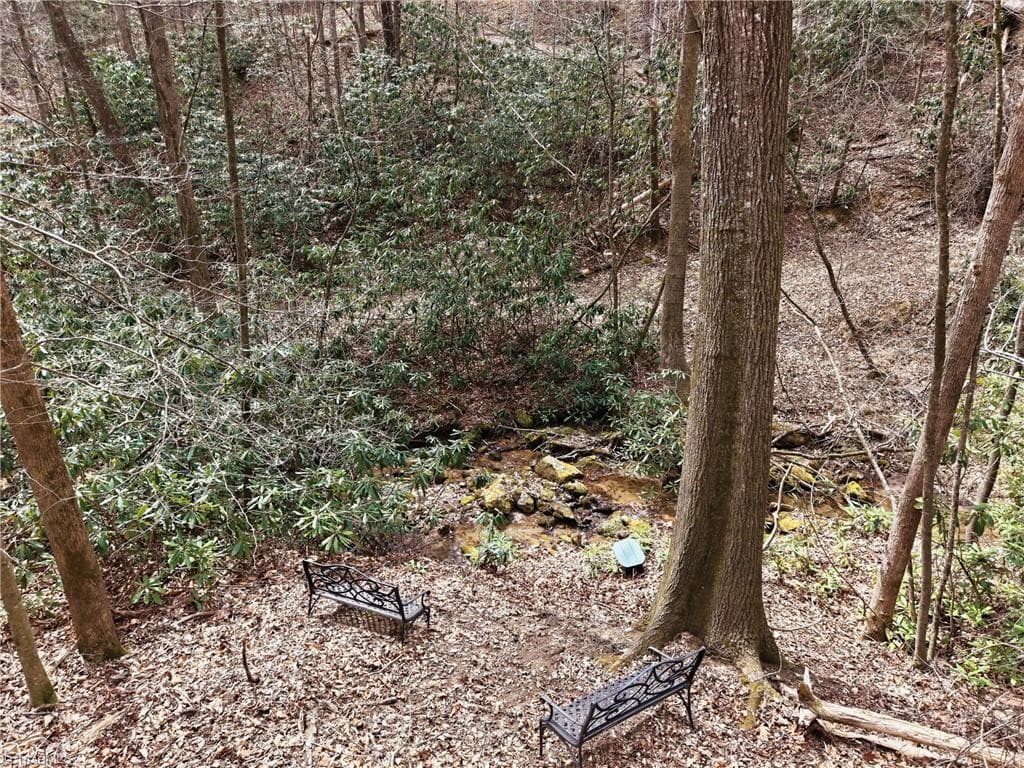 Single Family Residence at Lot 109 & 110 Pepper Bush Road, Purlear NC 28665, Purlear, photo 15 of 29