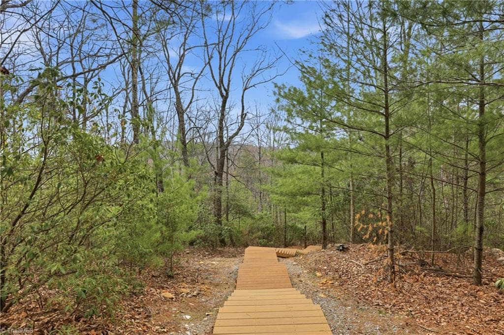 Single Family Residence at Lot 109 & 110 Pepper Bush Road, Purlear NC 28665, Purlear, photo 11 of 29