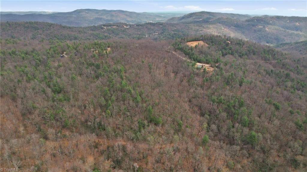 Single Family Residence at Lot 109 & 110 Pepper Bush Road, Purlear NC 28665, Purlear, photo 29 of 29