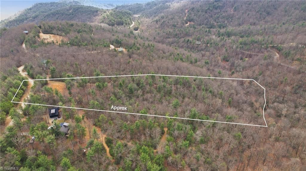 Single Family Residence at Lot 109 & 110 Pepper Bush Road, Purlear NC 28665, Purlear, photo 8 of 29