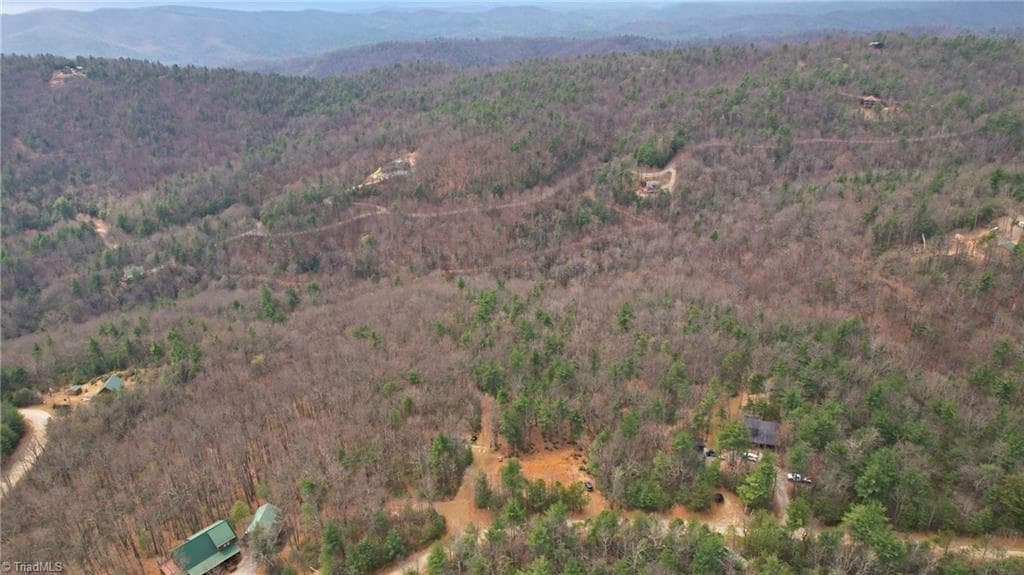 Single Family Residence at Lot 109 & 110 Pepper Bush Road, Purlear NC 28665, Purlear, photo 21 of 29