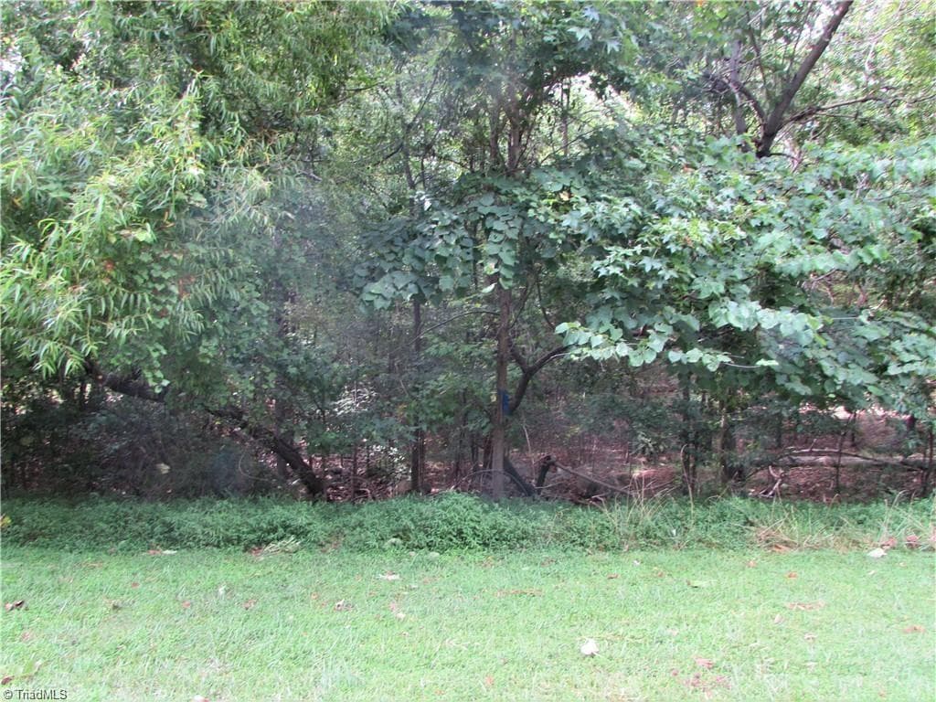 Single Family Residence at 532 Rocky Cove Lane, Denton NC 27239, Denton, photo 9 of 13