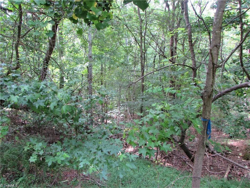 Single Family Residence at 532 Rocky Cove Lane, Denton NC 27239, Denton, photo 10 of 13