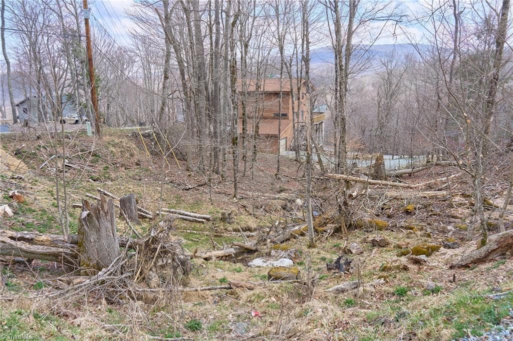 Unimproved Land at 101 Foxgrape Hollow Road, Beech Mountain NC 28604, photo 2 of 24