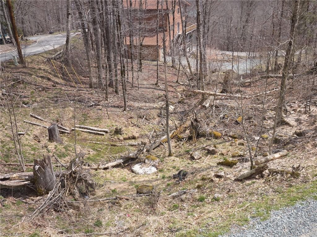 Unimproved Land at 101 Foxgrape Hollow Road, Beech Mountain NC 28604, photo 13 of 24