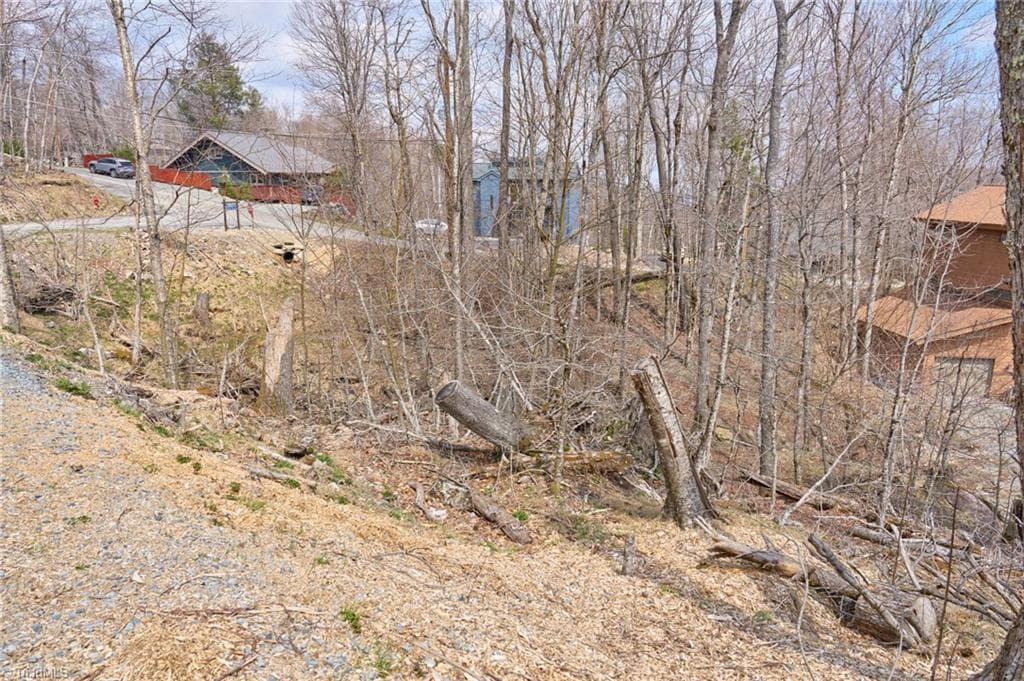 Unimproved Land at 101 Foxgrape Hollow Road, Beech Mountain NC 28604, photo 3 of 24