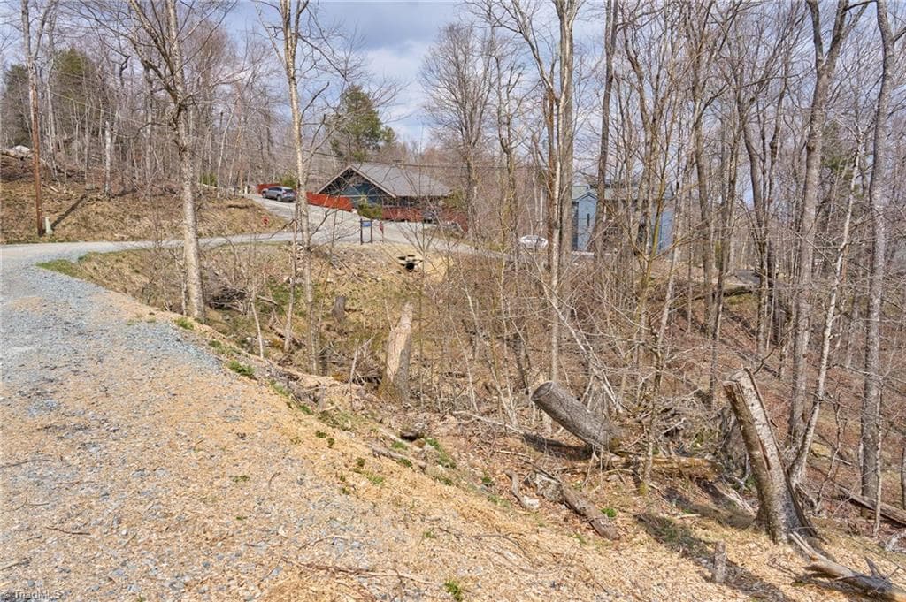 Unimproved Land at 101 Foxgrape Hollow Road, Beech Mountain NC 28604, photo 5 of 24