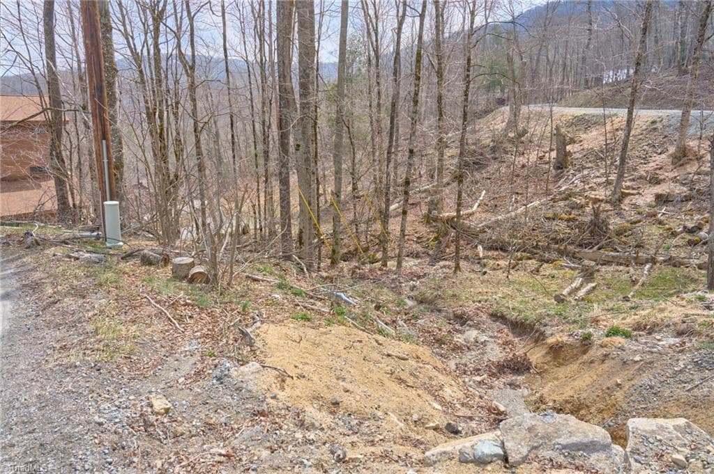 Unimproved Land at 101 Foxgrape Hollow Road, Beech Mountain NC 28604, photo 4 of 24