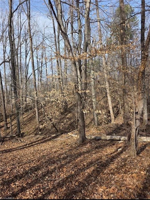 1065 Cedar Lane, Reidsville NC 27320