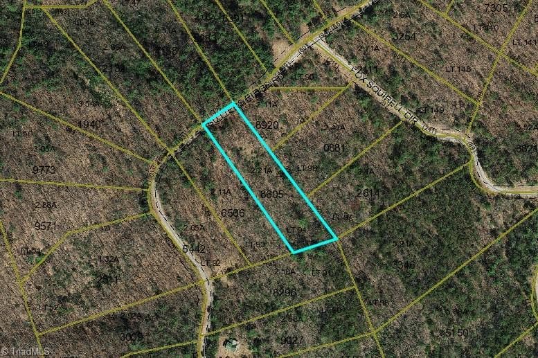 Unimproved Land at TBD Sutters Ridge Road Lot 94, McGrady NC 28649, photo 2 of 9