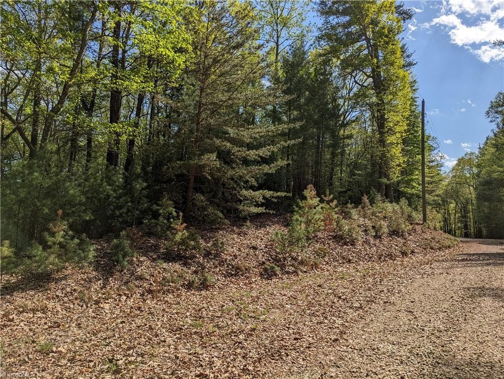 Unimproved Land at TBD Sutters Ridge Road Lot 94, McGrady NC 28649, photo 3 of 9