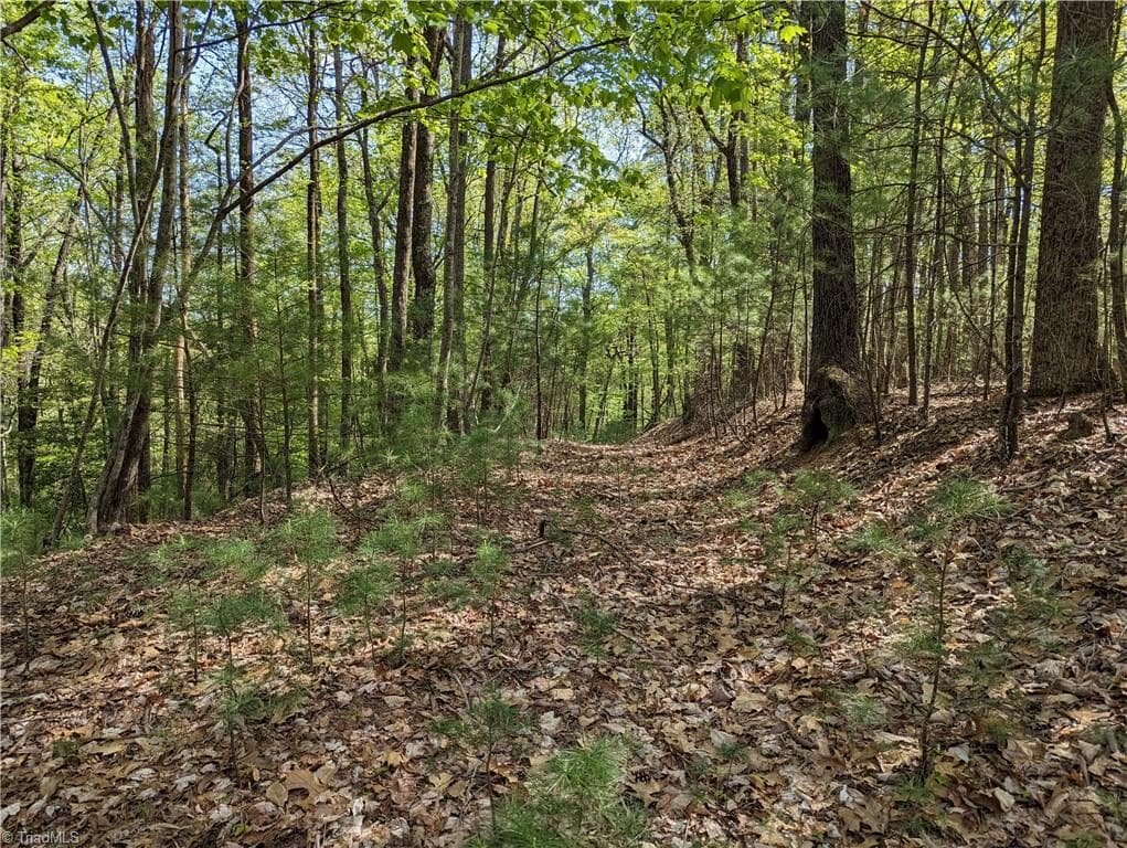 Unimproved Land at TBD Sutters Ridge Road Lot 94, McGrady NC 28649, photo 5 of 9