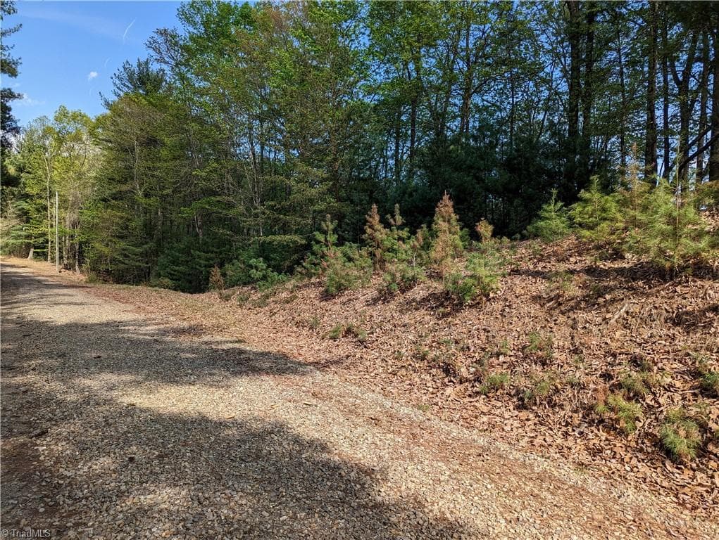 Unimproved Land at TBD Sutters Ridge Road Lot 94, McGrady NC 28649, photo 4 of 9