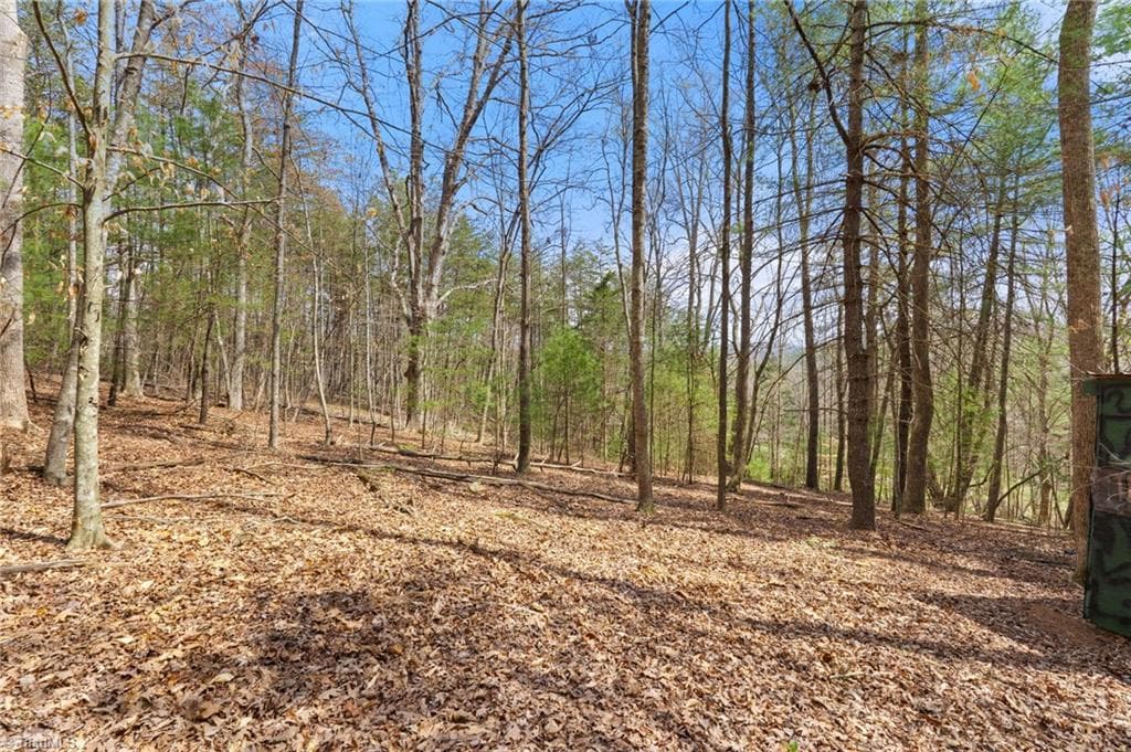 Single Family Residence at 1163 Mills Road, Mount Airy NC 27030, photo 28 of 37
