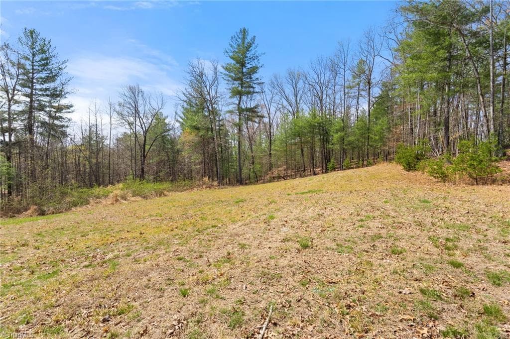 Single Family Residence at 1163 Mills Road, Mount Airy NC 27030, photo 31 of 37