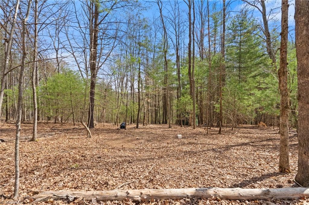 Single Family Residence at 1163 Mills Road, Mount Airy NC 27030, photo 29 of 37