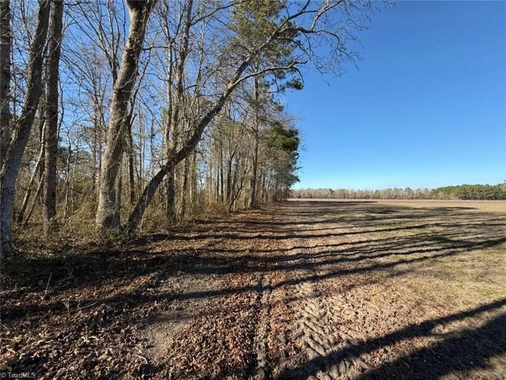 Agriculture at 00 Hammonds Road, Lumberton NC 28360, photo 13 of 19