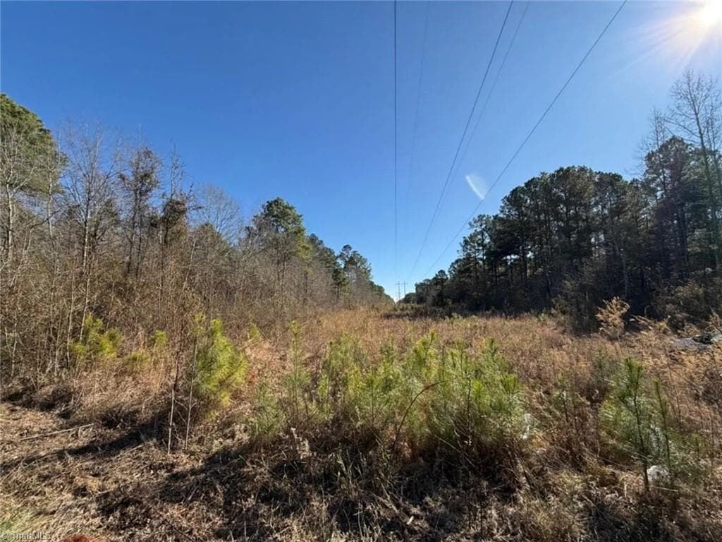 Agriculture at 00 Hammonds Road, Lumberton NC 28360, photo 17 of 19