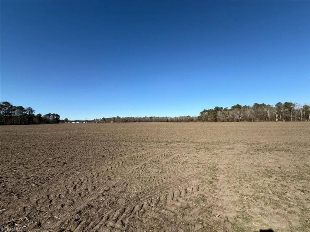 Agriculture at 00 Hammonds Road, Lumberton NC 28360, photo 12 of 19