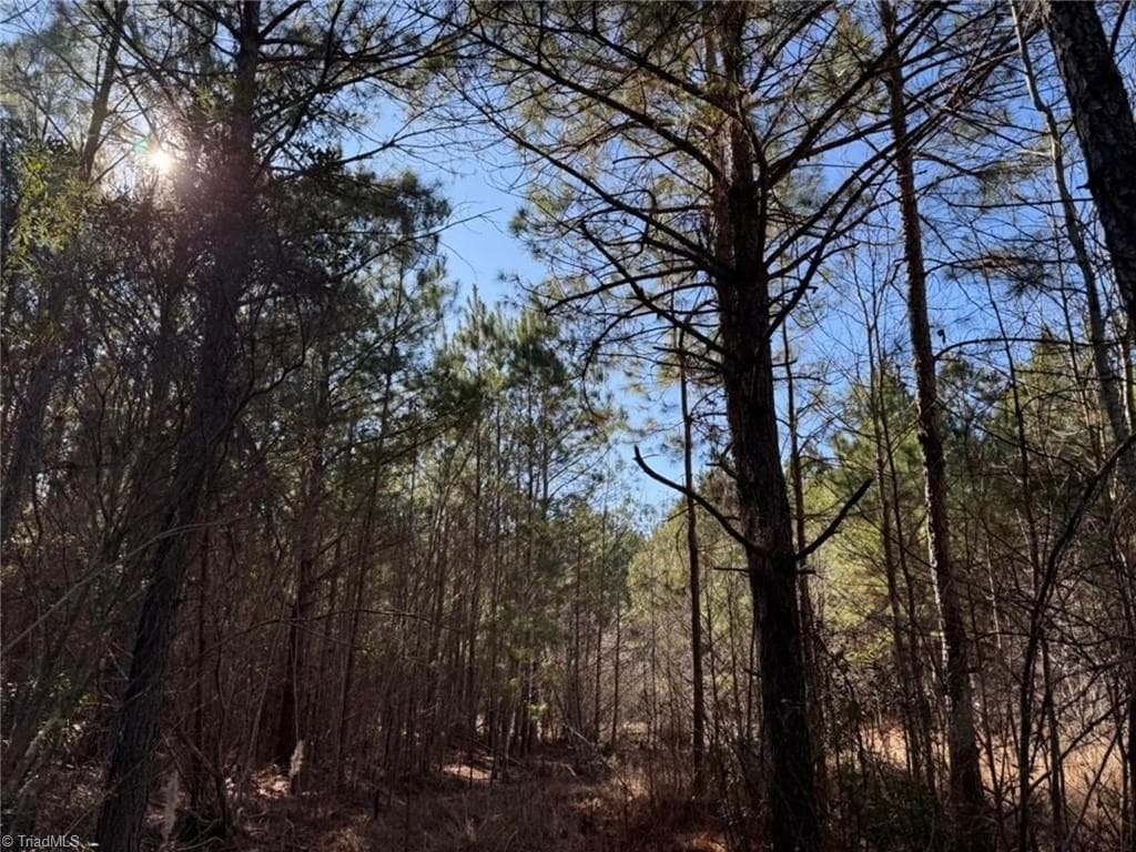 Agriculture at 00 Hammonds Road, Lumberton NC 28360, photo 19 of 19
