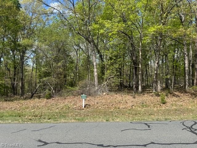 Resort at 218 Rocky Cove Lane, Denton NC 27239, Denton, photo 2 of 12
