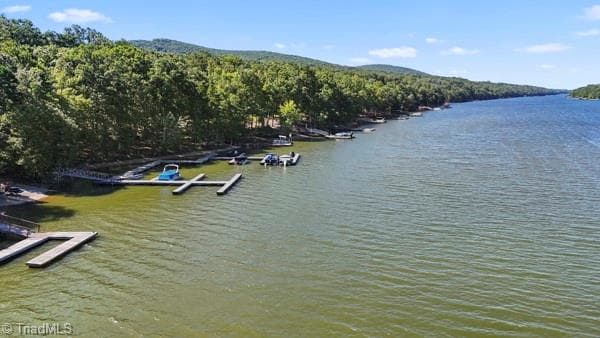 Resort at 218 Rocky Cove Lane, Denton NC 27239, Denton, photo 7 of 12