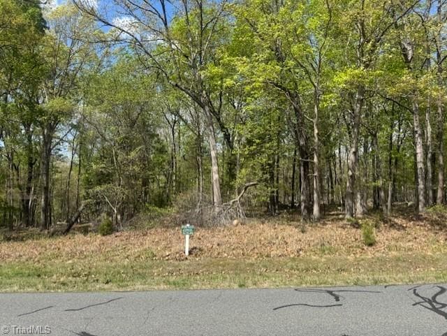 Resort at 218 Rocky Cove Lane, Denton NC 27239, Denton, photo 3 of 12