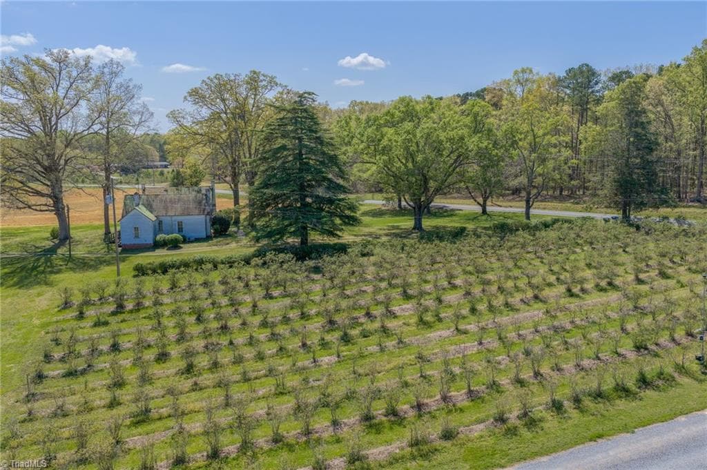 Agriculture at 32286 Laton Road, Albemarle NC 28001, photo 23 of 33