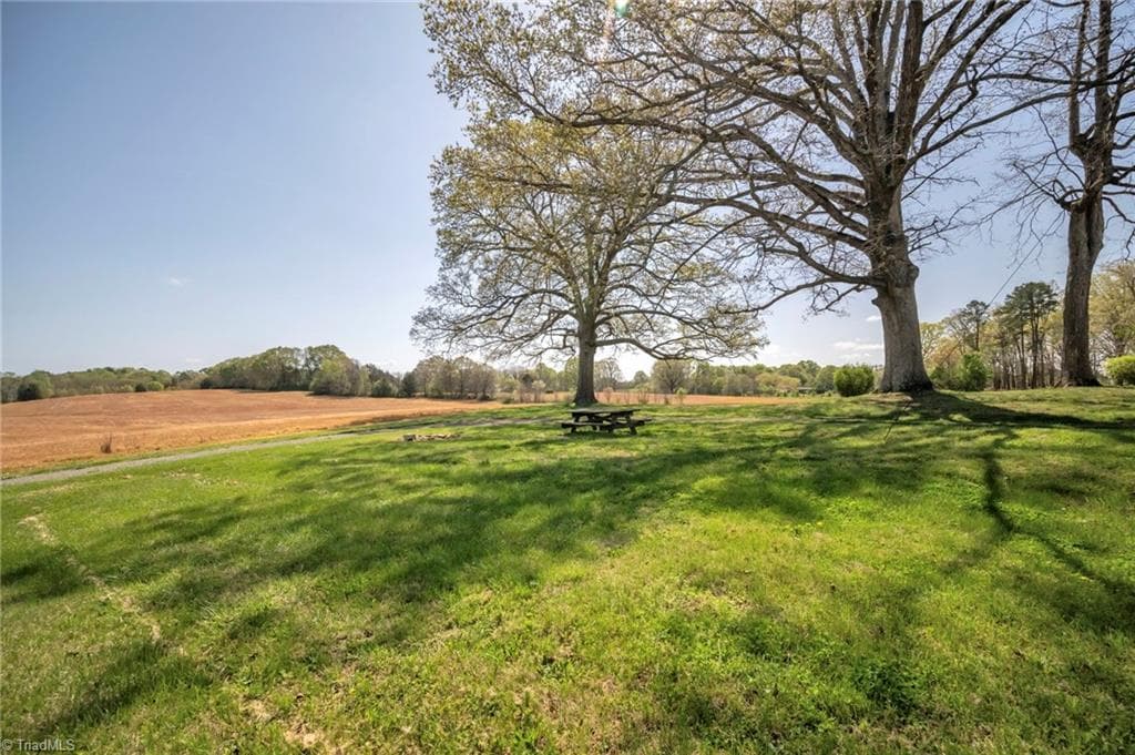 Agriculture at 32286 Laton Road, Albemarle NC 28001, photo 17 of 33